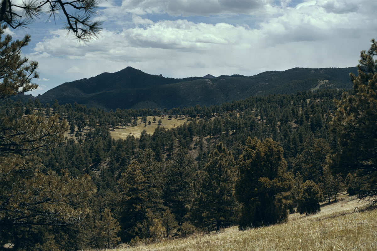 Colorado Wildland Urban Interface Prone to Wildfire